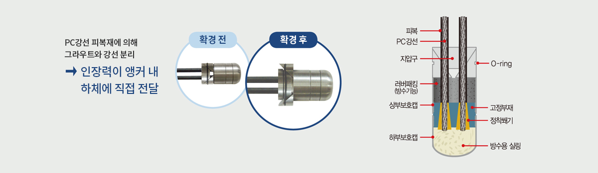 내하체 구성
